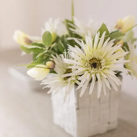 Affittacamere Lungomare & Charme